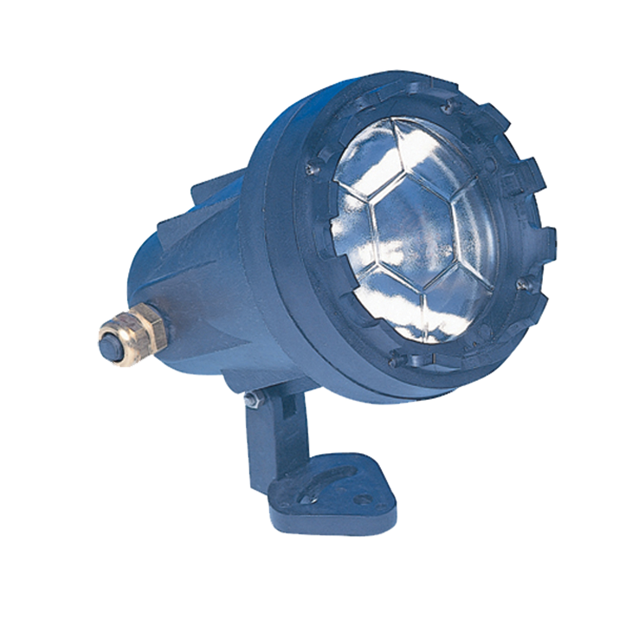 150 w veya 120w - 24 v Ayaklı Süs Havuzu Lambası